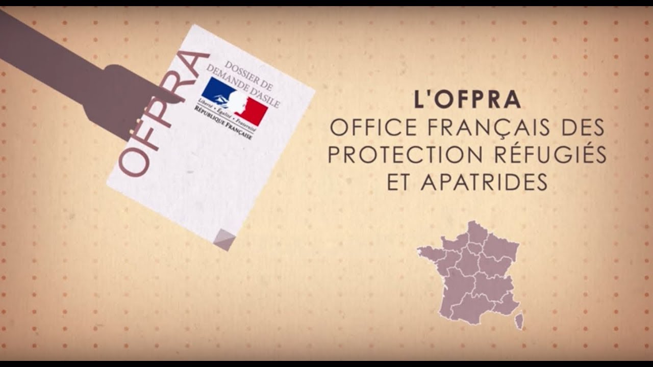 Документы для подачи на убежище во Франции: что нужно и зачем